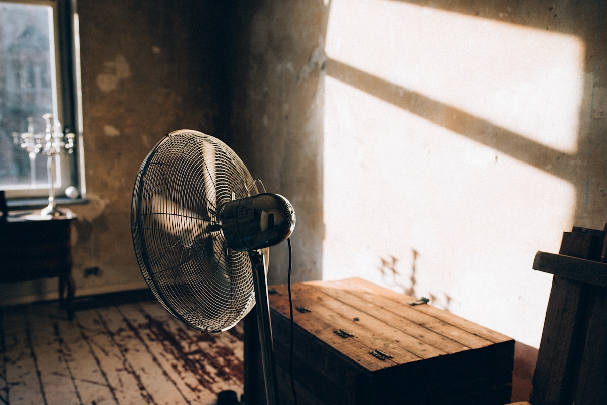 Mold Remediation service in Lebanon, PA