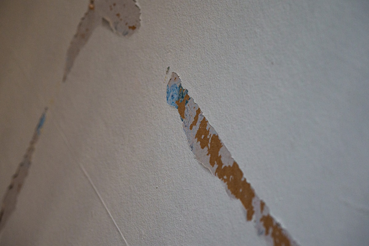 Water Extraction service in Lebanon, PA